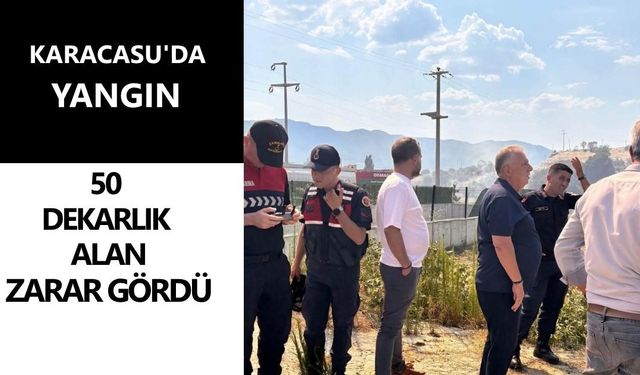 Karacasu'da yangın