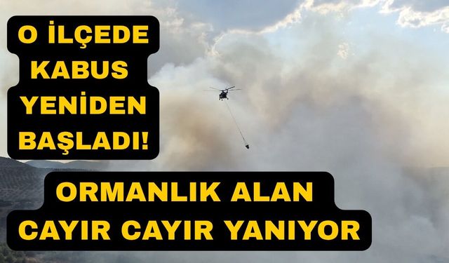 Orman yangınına ekipler havadan ve karadan müdahale ediyor