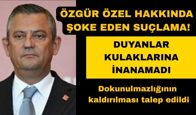 Yeni Parti Genel Başkanı Özel hakkında fezleke hazırlandı