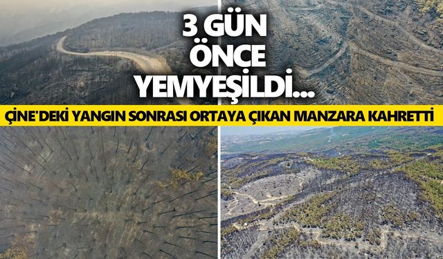3 gün önce yemyeşildi... Çine'deki yangın sonrası ortaya çıkan manzara kahretti