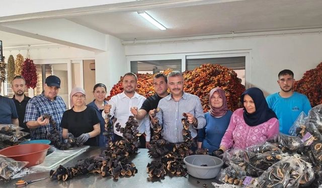AK Parti heyetinden İsabeyli turu
