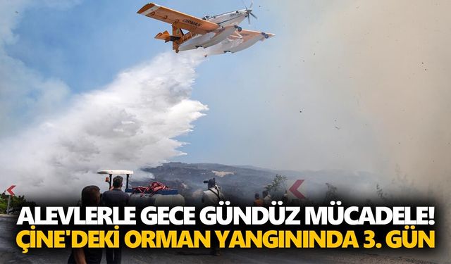 Alevlerle gece gündüz mücadele! Çine'deki orman yangınında 3. gün