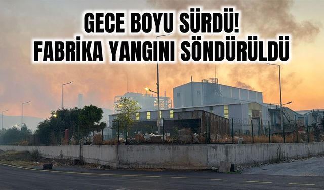 Aydın'da gece boyu süren fabrika yangını söndürüldü