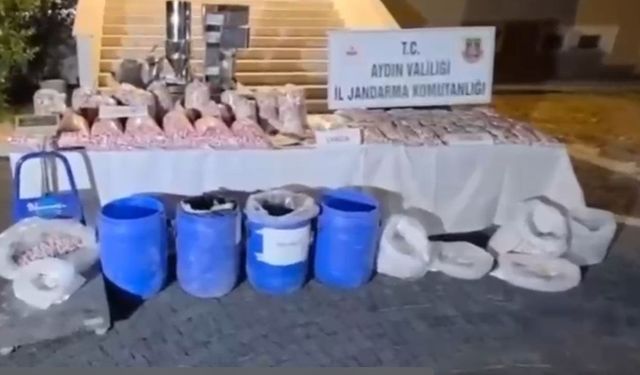 Aydın'da sentetik hap imalathanesine baskın!