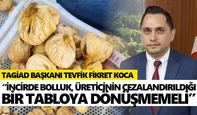 Aydın’da incir sezonu öncesi üreticinin gözü fiyatta!