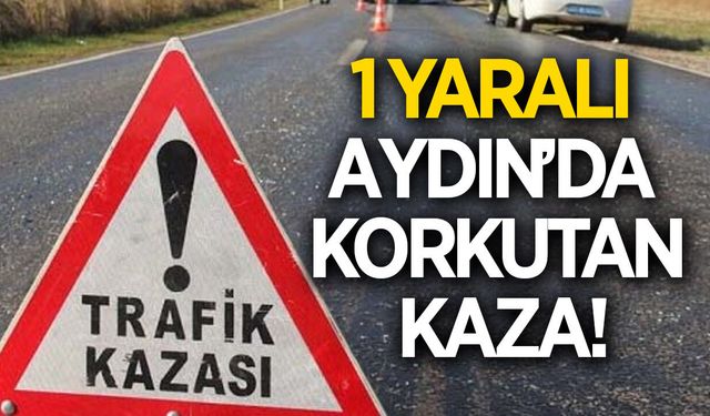 Aydın'da korkutan kaza! 1 kişi yaralandı