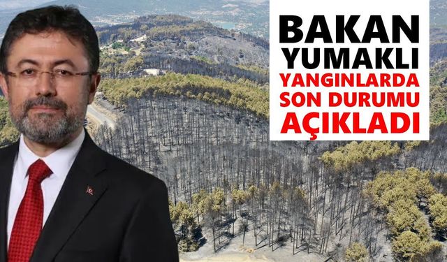 Bakan Yumaklı yangınlarda son durumu açıkladı
