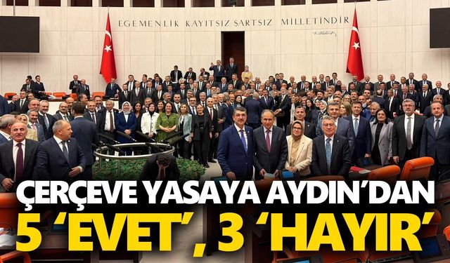 Çerçeve yasaya Aydın’dan 5 ‘evet’, 3 ‘hayır’
