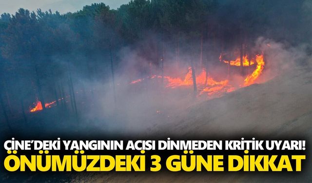 Çine’deki yangının acısı dinmeden kritik uyarı! Önümüzdeki 3 güne dikkat