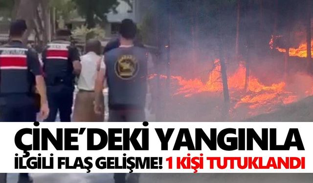 Çine’deki yangınla ilgili flaş gelişme! 1 kişi tutuklandı