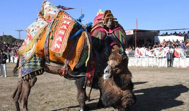 DEGÜF yeni sezon kararlarını açıkladı! Görevli ücretleri ve disiplin kuralları değişti