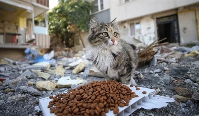 Didim’de o tesis için kritik karar! Artık resmen onaylı