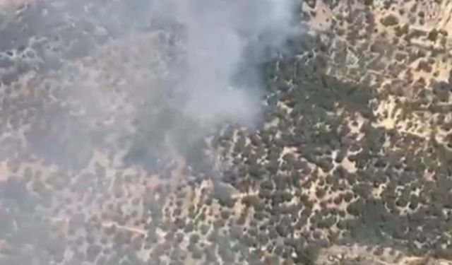 Germencik’te korkutan yangın!