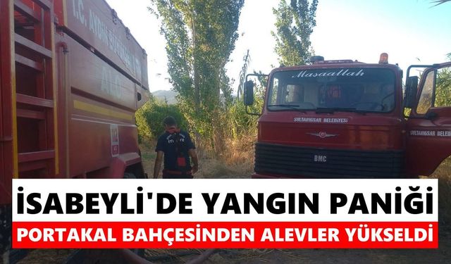 İsabeyli'de yangın paniği