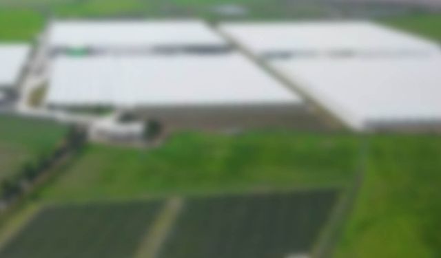 Aydınlı dev tarım firması konkordato ilan etti