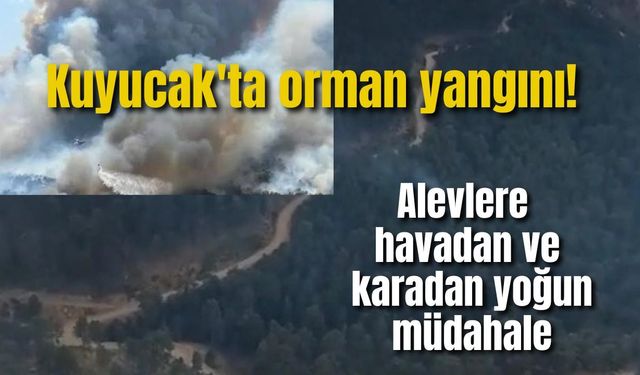 Kuyucak'ta orman yangını! Alevlere havadan ve karadan yoğun müdahale