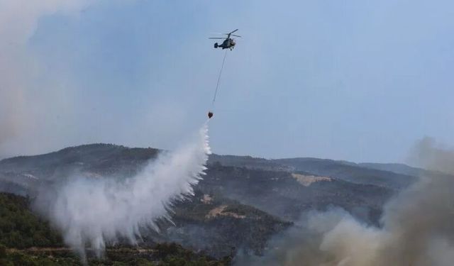 Orman yangınlarında bilanço ağır: 69 şüpheliden 15’i tutuklandı