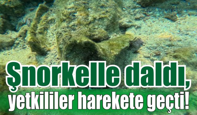 Şnorkelle daldı, yetkililer harekete geçti!