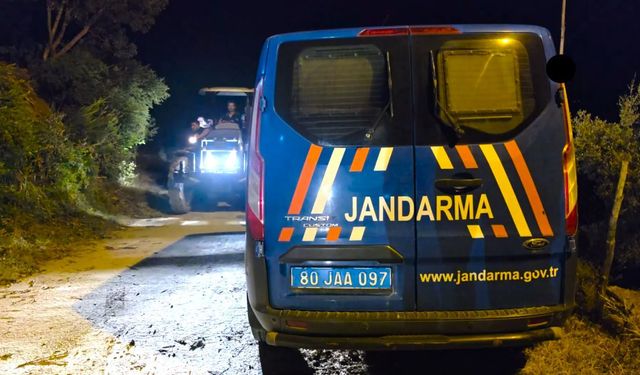 Sumak toplamaya gitti, bir daha dönemedi! 75 yaşındaki kadından acı haber