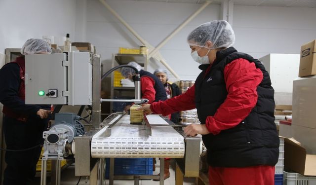 Tarladan Amerika’ya! Efeler’in kadın emeği dünyaya açılıyor