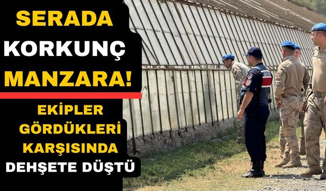 Kayıp olarak aranan genç serada ölü bulundu