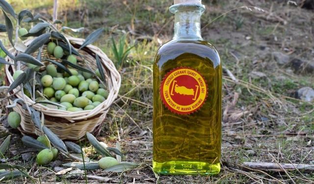 Hakiki Aydın Memecik zeytinyağı sahtesinden nasıl ayırt edilir?