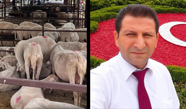 Aydın'da hayvan pazarlarının kapatıldığı açıklandı