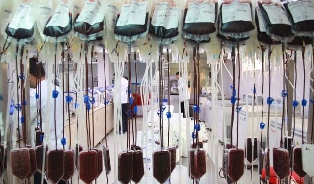 Bir bağış, bir umut! Kök hücre bağışçıları 1,25 milyonu aştı