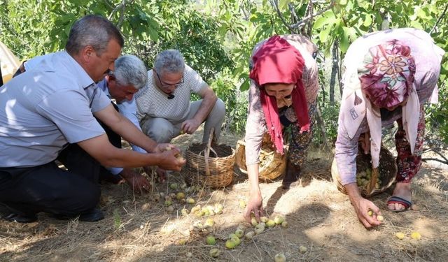 Çaylı ve Derebaşı’nda halk buluşması