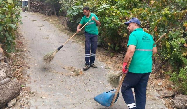 Efeler’de yeşil mesai! Ekipler bu kez Eğrikavak’ta sahaya çıktı