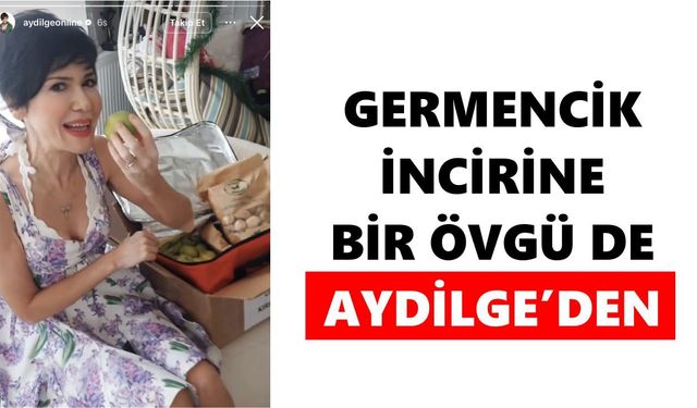 Germencik İnciri ünlülerin dilinde