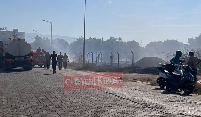 Aydın’da korkutan yangın! Otobana sıçradı, havadan müdahale edildi