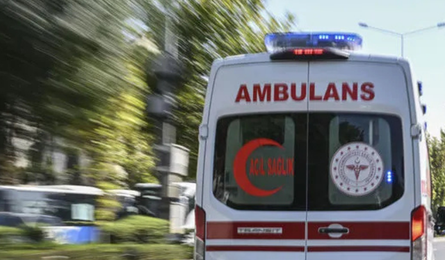 Koyun sürüsüne çarpan genç adam kurtarılamadı