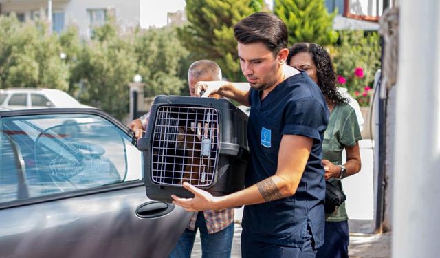 Kuşadası’nda patili dostlar için dikkat çeken merkez: Binlerce kediye umut oldu