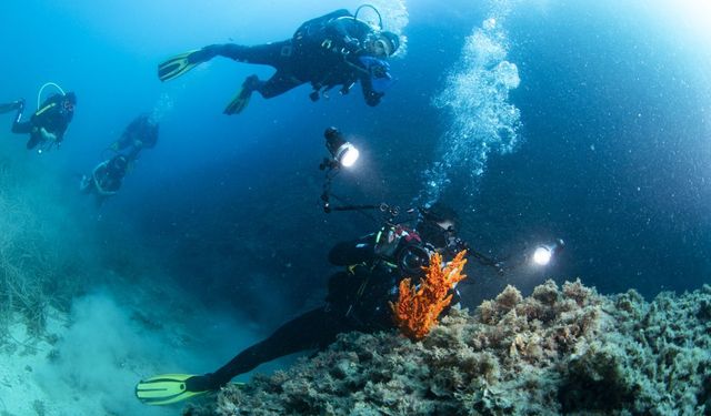 Kuşadası’nın altında bambaşka bir dünya! Dalgıçlar o mağaraya giriyor