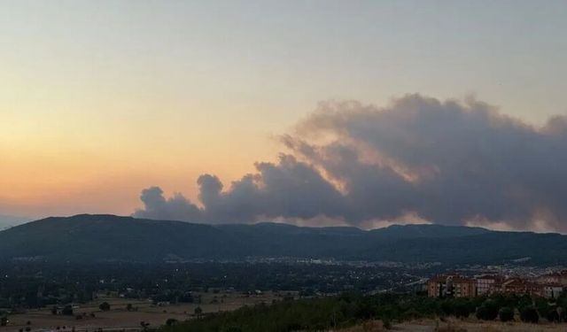 Muğla’da alevler yükseldi: Ekipler seferber oldu