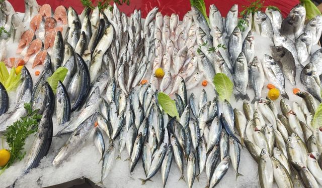 Nazilli Balık Hali’ne enflasyon uğramadı!