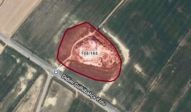 Aydın’da dev hazine arazisi satılacak! Fiyatı belli oldu