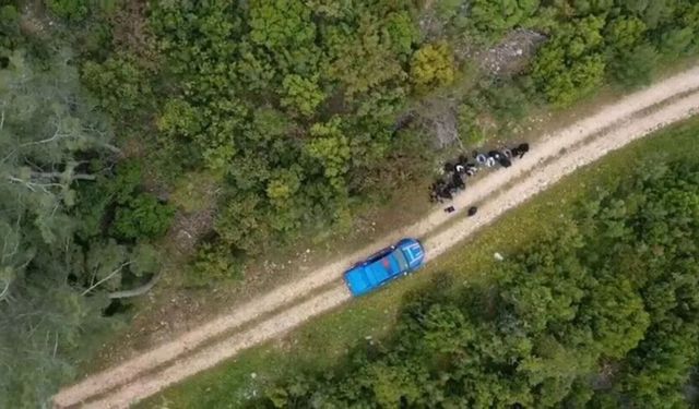 Aydın dahil 33 ilde operasyon: 47 şüpheli tutuklandı