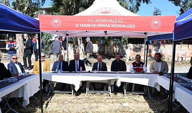 Aydın Valisi Varol, Söke ovasında pamuk hasadına katıldı