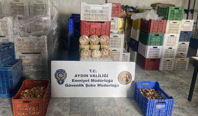 Aydın’da gıda denetiminde ağır ceza