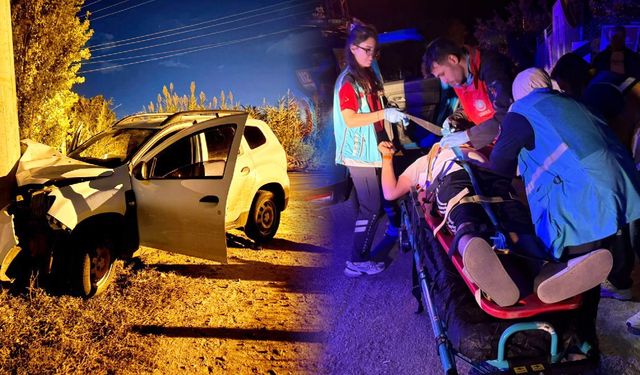 Aydın'da otomobil elektrik direğine çarptı, 2 yaralı