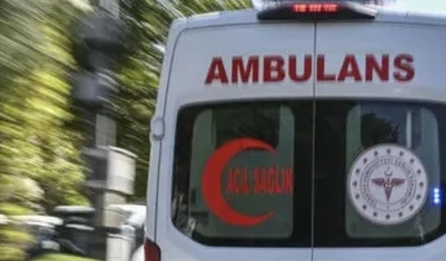 Aydın'da İngiliz uyruklu şahıs ölü bulundu