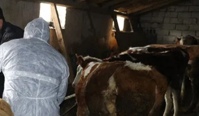 Aydın'daki 137 mahalleye uyarı yapıldı