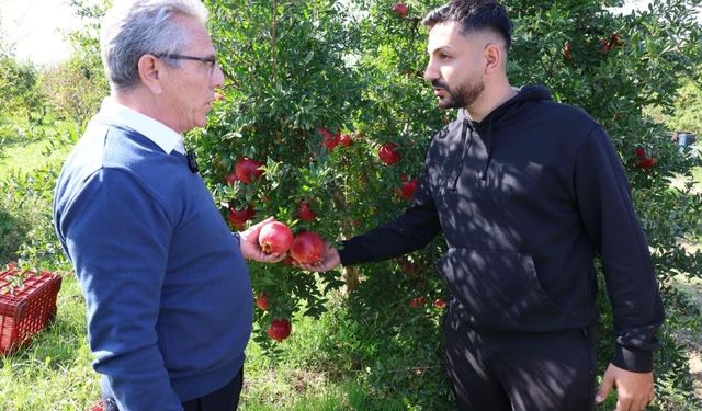Başkan Tetik Bereketli’de  nar üreticileriyle buluştu