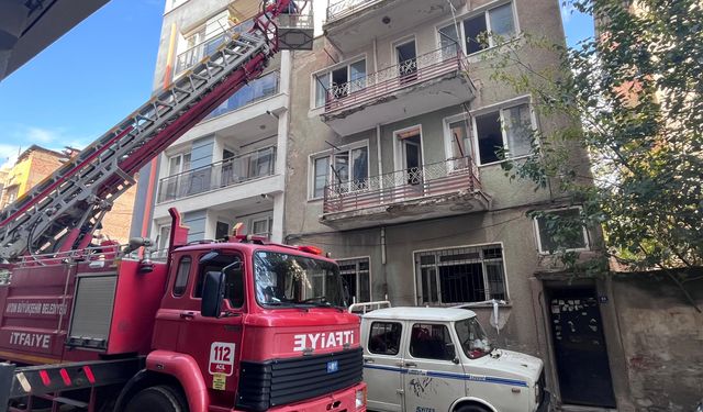 Aydın itfaiyesinden kedi operasyonu