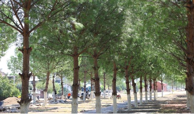 İncirliova’da üreticiyi sevindirecek proje yükseliyor