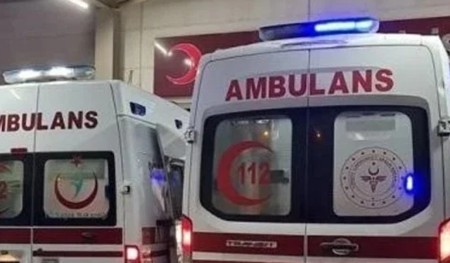 Mantar toplamaktan dönen 4 kişi kazada yaşamını yitirdi