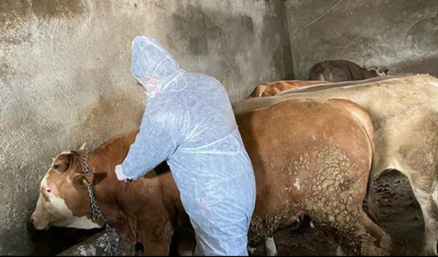 Aydın'da yeni karantina kararları kamuoyuna duyuruldu