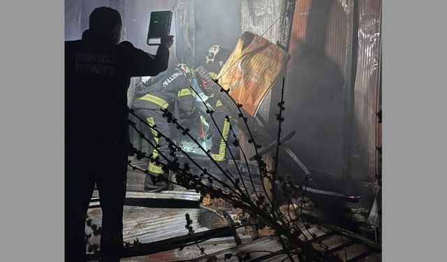 Sabaha karşı konteyner alevlere teslim oldu: 84 yaşındaki kadın öldü